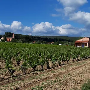 Au Milieu Des Vignes Hébergement de vacances Le Castellet (Var)
