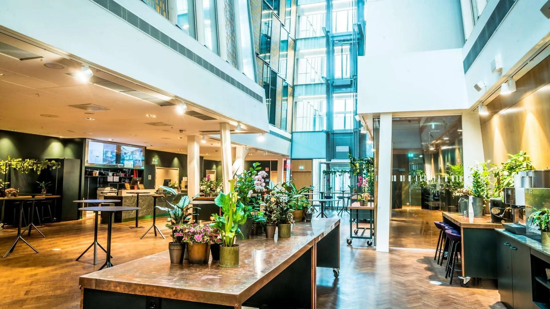 **** Hotel Scandic Continental Sztokholm Szwecja